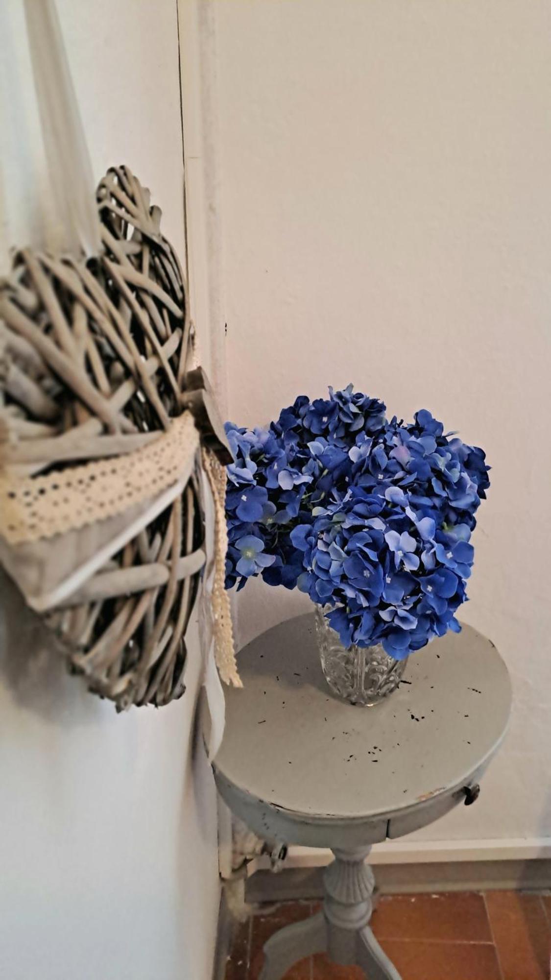 Apartment Blue Breeze